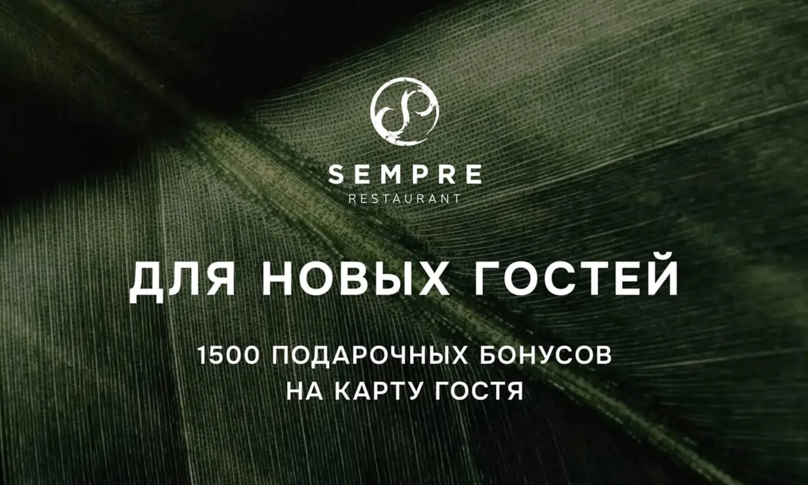Блюдо ресторана Sempre