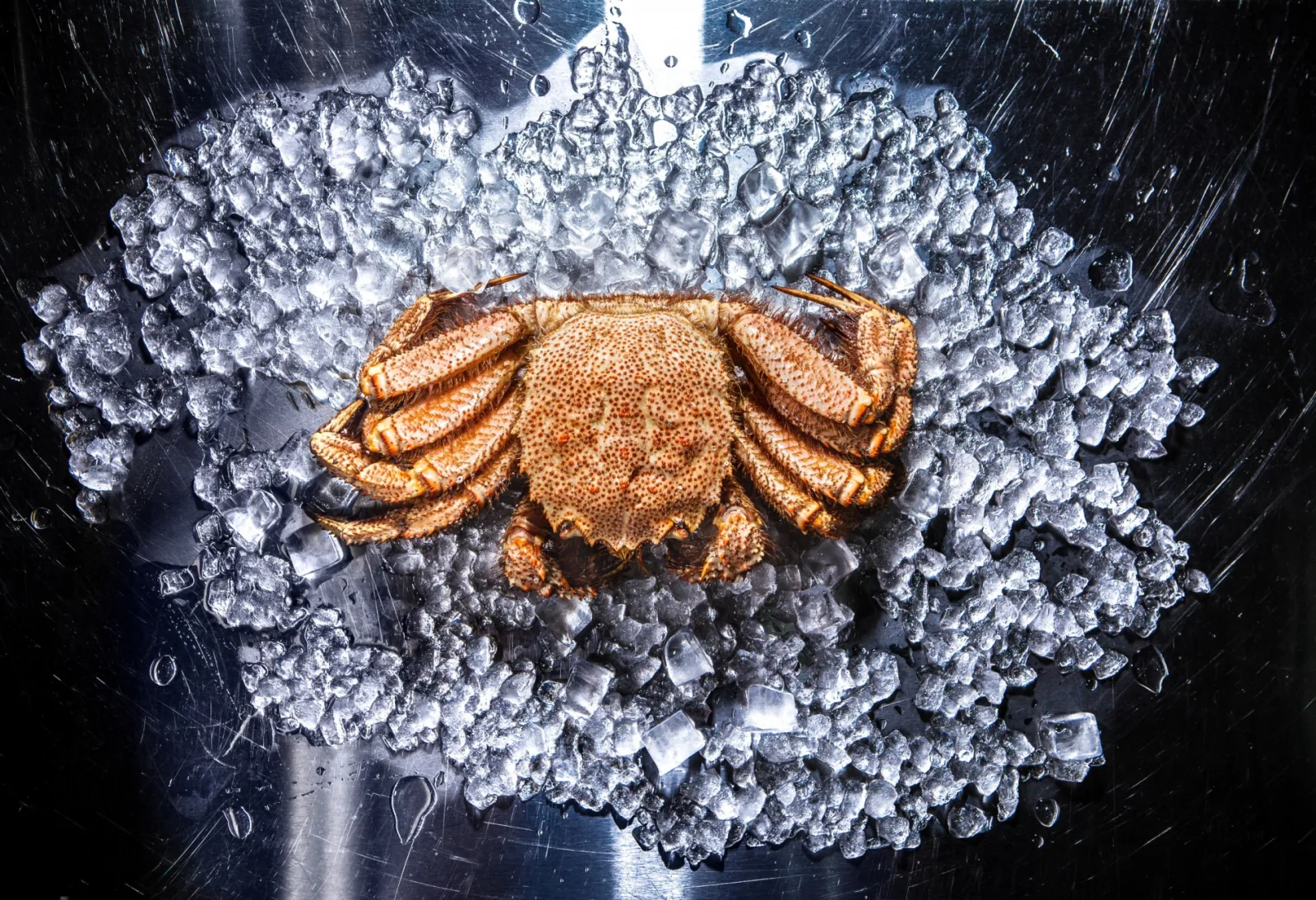 Атмосфера ресторана Wine & Crab